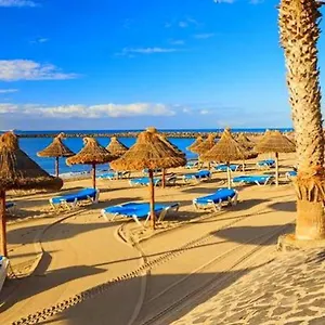 Fresh In Americas, Pe210 Next To The Arona (Tenerife)