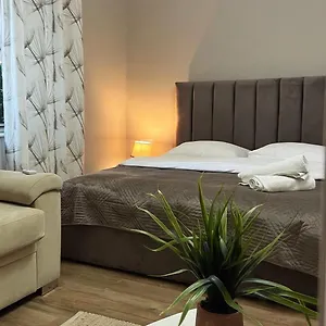 New Bazaar Cane 2 Tirana